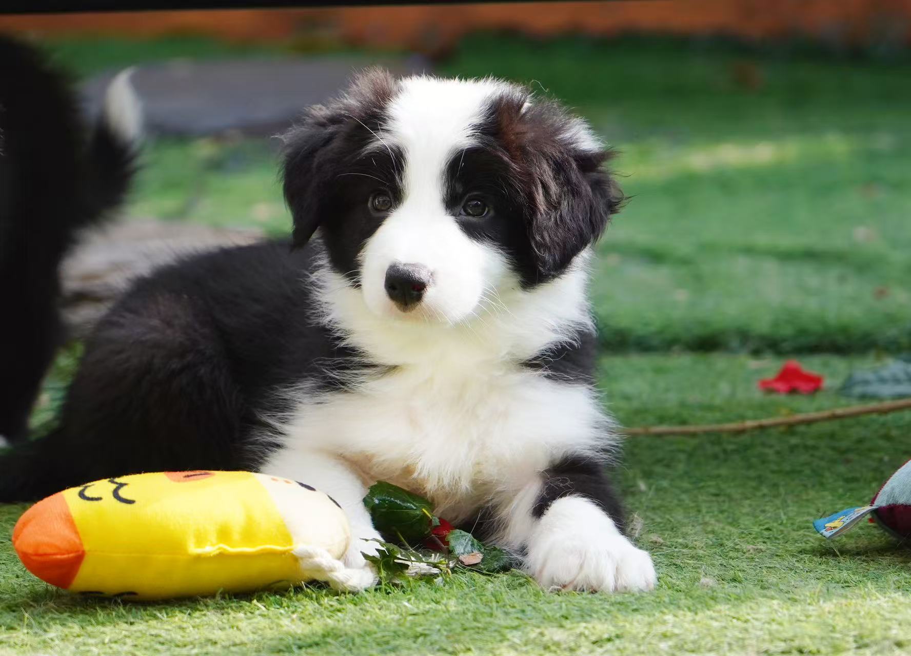 ALBERT AND ZELE 的女儿 GRACE